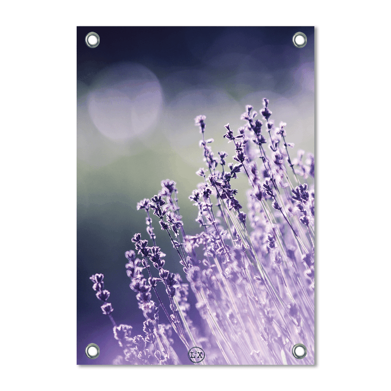 Label2X Tuinposter lavender - 