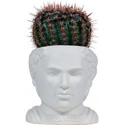 UPG Planter - Frida Kahlo

UPG Planter - Frida Kahlo