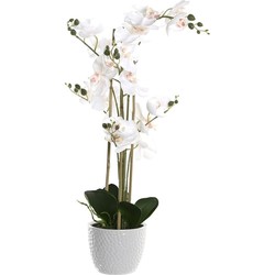 Items Orchidee bloemen kunstplant in witte bloempot - witte bloemen - H77 cm - Kunstplanten