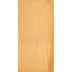 Embadecor Kleurloos 2,5 liter Tuindeco