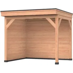 Douglas DIY overkapping, 300 x 250, met achterwand en zijwand, Westwood