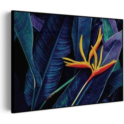 Muurwerken Akoestisch Schilderij - Heliconia bloem op donkere achtergrond - Geluidsdempend Wandpaneel - Wanddecoratie - Geluidsisolatie - BASIC (AW 0.65) XXL (150x107)