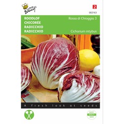 2 stuks - Radicchio Rosso Di Chioggia - Buzzy