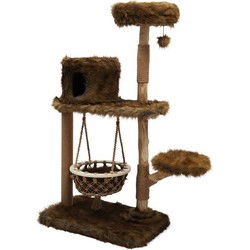 Klimboom populus 154cm grizzly brown