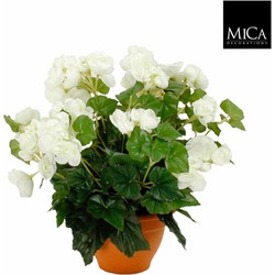 Mica Decorations begonia maat in cm: 37 x 35 wit in pot - WIT