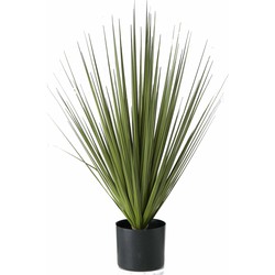 1x Groene gras kunstplanten Carex 68 cm in zwarte pot - Kunstplanten