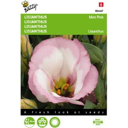 5 stuks - Lisianthus mini rosa Samen - Buzzy