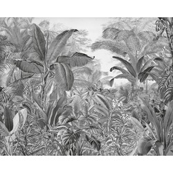 Komar fotobehang Roraima zwart wit - 350 x 280 cm - 610854