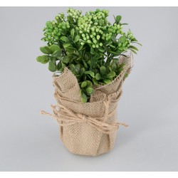 Plantje in jute zak Fleur groen - Oosterik Home