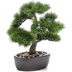 Seidenpflanze Bonsai Pinus Kunstpflanze Kollektion - Driesprong Collection