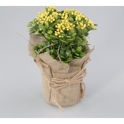 Plantje in jute zak Fleur geel - Oosterik Home