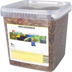 Mehlwürmer 5 Liter Futter - Suren Collection
