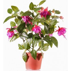 Roze fuchsia kunstplant in pot 30 cm voor binnen - Kunstplanten