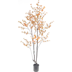 Hoyz Greenery - Kunstplant Enkianthus 210 cm peach