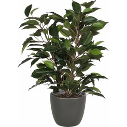 Groene ficus kunstplant 40 cm met plantenpot mat antraciet grijs D13.5 en H12.5 cm - Kunstplanten