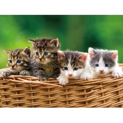 Set van 4x stuks placemats poezen/kittens 3D effect 30 x 40 cm - Placemats