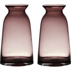 Set van 2x stuks paars/roze glazen bloemen vaas/vazen 23.5 x 12.5 cm transparant - Vazen