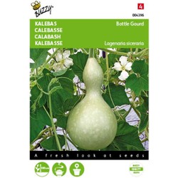 5 stuks - Lageneria siceraria - Bottle Gourd Tuinplus