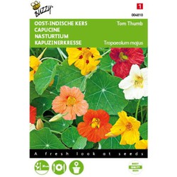 2 stuks - Tropaeolum majus Tom Thumb gemengd