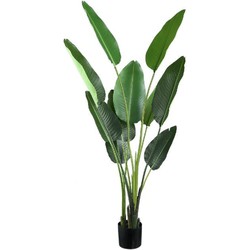 PTMD Kunstplant Strelitzia - 85x73x150 cm - Polyester - Groen