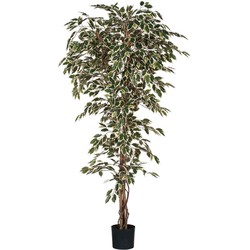 Mica Decorations Ficus Bont Kunstplant - H210 x Ø100 cm - Pot - Groen