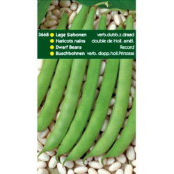 5 stuks - 