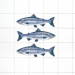 Backsplash trio salmon