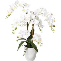 Kopu® Kunstbloem Orchidee 67 cm Wit In Bloempot Rond - Phalaenopsis