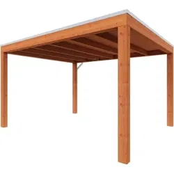 Trendhout douglas overkapping Palermo, 310 x 250 cm