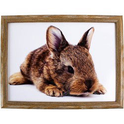 Mars & More Schoot kussen/laptoptray - konijn print - 43 x 33 cm - Dienbladen