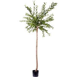 Hoyz Greenery - Kunstplant Eucalyptus 150 cm