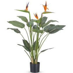 Kunstplant Strelitzia Royal 115 cm