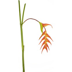 Greenmoods Kunstbloem Heliconia - Nep plant - 1 Stuk - 120cm - Rood-