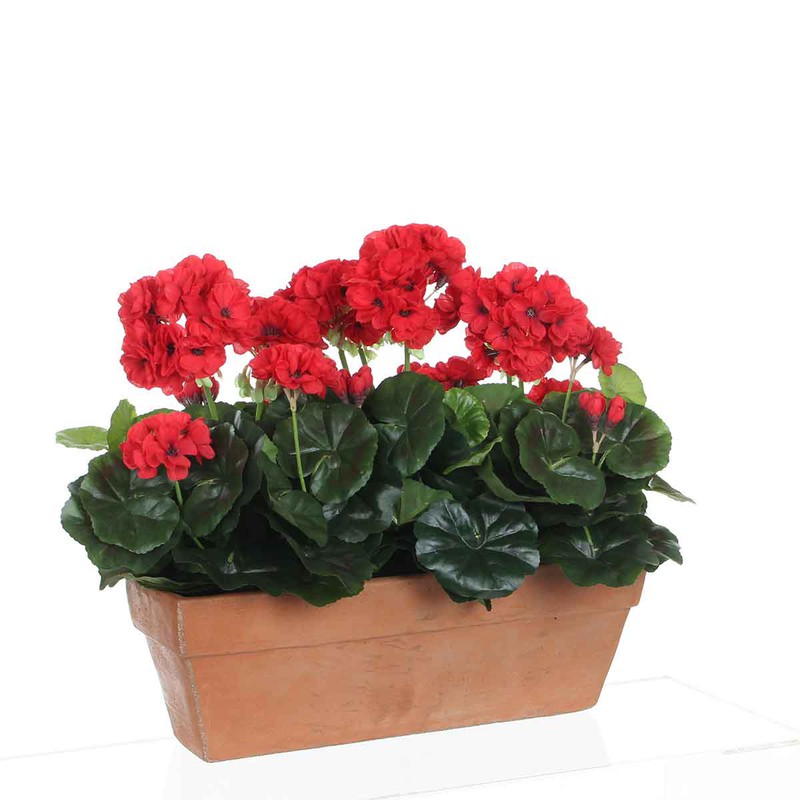 Mica Decorations geranium rood in balkonbak terra maat in cm: 39 x 13 x 40 - 