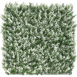 Kunsthaag Buxus wit 50x50 cm UV | NeverLeafs