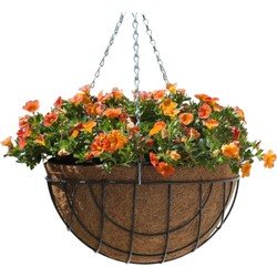 2 stuks - Hanging basket metaaldraad groen geepoxeerd incl. ketting H20x dia. 40cm - Nature