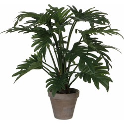 Mica Decoration kunstplant Philodendron - groen - H50 en D60 cm - Kamerplant - Kunstplanten
