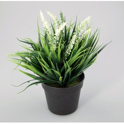 Pflanze im Plastiktopf Aimee weiße künstliche Pflanze - Oosterik Home
