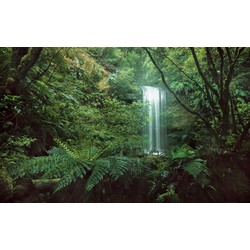 Sanders & Sanders fotobehang jungle groen - 450 x 280 cm - 612703