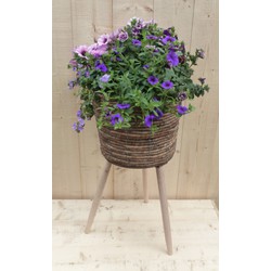 Rieten plantenbak bruin op poten met zomerbloeiers paars/blauw h65 cm - Warentuin Natuurlijk