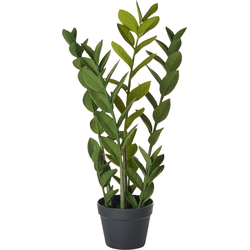 ZAMIIFOLIA - Kunstplant - Groen - 76 cm - Synthetisch materiaal
