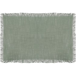 Mica Decorations Xavie Placemat - Set van 4 - L48 x B33 cm - Groen