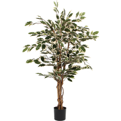 Ficus kunstplant - H110 x Ø70 cm - Groen Bont Royal | Echt hout (Stam) | NeverLeafs