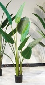 Kunstplant Blad Strelitzia Hard 220 cm - Buitengewoon de Boet - 