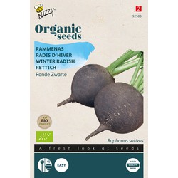 Organic Rammenas Ronde Zwarte (BIO) - Buzzy