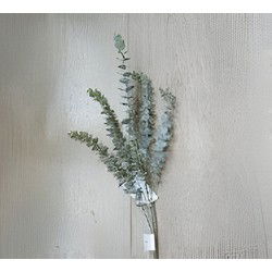 Eucalyptus tak groen 78 cm