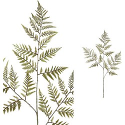 PTMD Leaves Plant Varen Kunsttak - 55 x 39 x 97 cm - Groen
