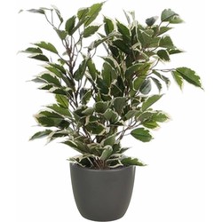 Groen/witte ficus kunstplant 40 cm met plantenpot mat antraciet grijs D13.5 en H12.5 cm - Kunstplanten