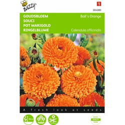 2 stuks - Calendula Officinalis Dubbelbl.Ball S Oranje