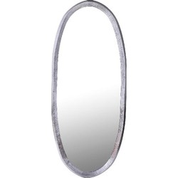 PTMD Spiegel Limera - 50x3x120 cm - Aluminium - Zwart